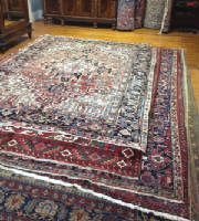 rug7.jpg